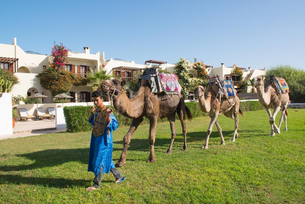Rebali Riads Sidi Kaouki Kültér fotó